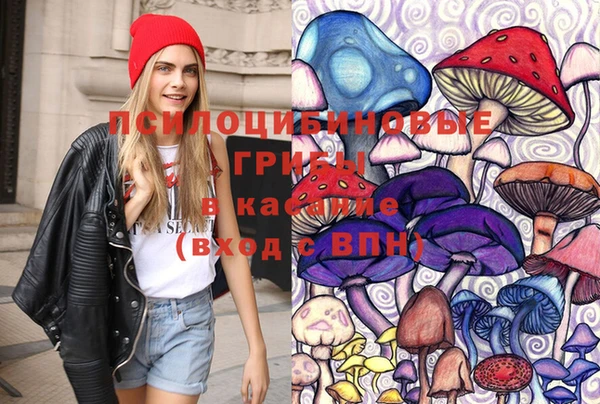 шишки Алзамай