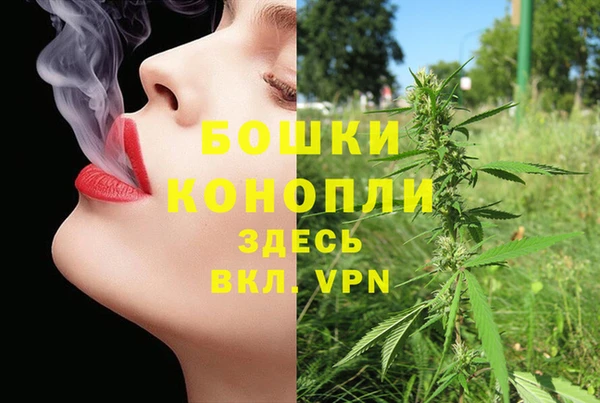марихуана Новозыбков