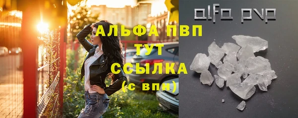 шишки Алзамай