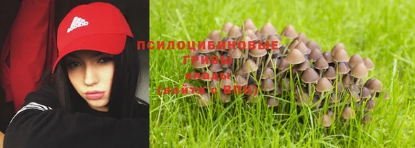 шишки Алзамай