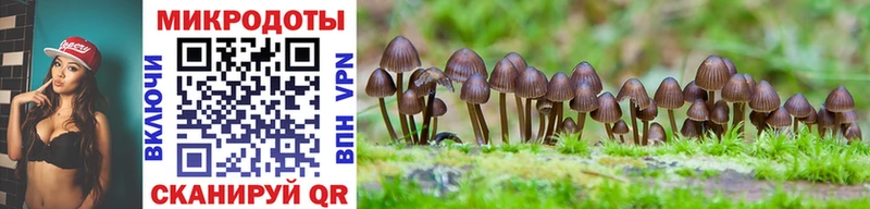 Галлюциногенные грибы Magic Shrooms  Лагань 